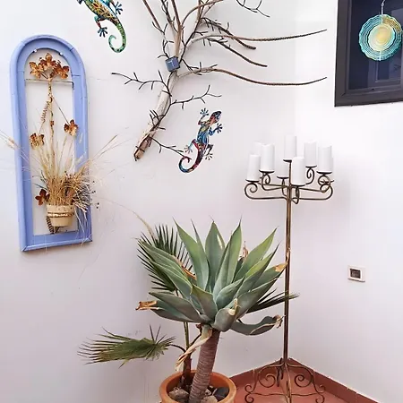 Casa Dos Angeles 아로나
